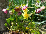 DSCF9743.jpg