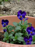 DSCF9774.jpg
