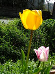 DSCF9740.jpg