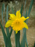 DSCF9775.jpg