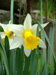 DSCF9773.jpg