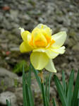 DSCF9770.jpg
