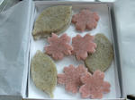 DSCF9762.jpg