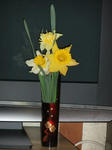 DSCF9782.jpg