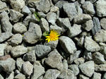DSCF9745.jpg