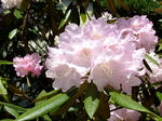 DSCF9747.jpg