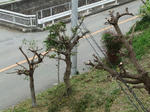 DSCF9816.jpg