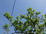 DSCF9828.jpg
