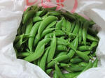 DSCF9952.jpg