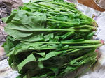 DSCF9953.jpg