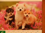 DSCF9974.jpg