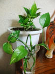 DSCF9985.jpg