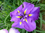 DSCF0090.jpg
