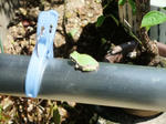 DSCF0006.jpg