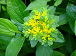 DSCF0015.jpg