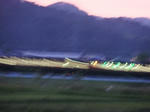 DSCF0023.jpg