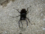 DSCF0102.jpg
