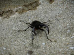 DSCF0103.jpg