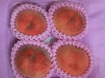 DSCF0129.jpg
