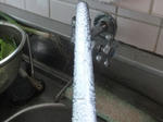 DSCF0243.jpg