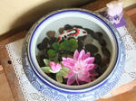 DSCF0245.jpg