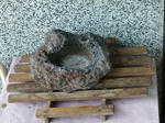 DSCF0254.jpg