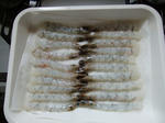 DSCF0227.jpg