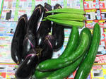 DSCF0310.jpg
