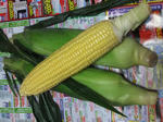 DSCF0311.jpg