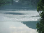 DSCF0317.jpg