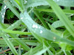 DSCF0351.jpg