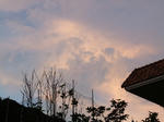 DSCF0361.jpg