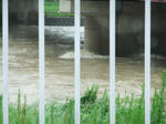 DSCF0372.jpg