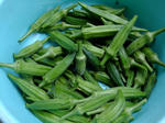DSCF0426.jpg
