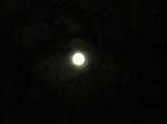 DSCF0446.jpg