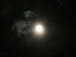 DSCF0447.jpg