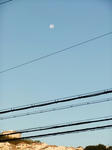 DSCF0471.jpg
