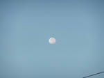DSCF0470.jpg