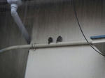 DSCF0556.jpg