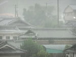 DSCF0557.jpg