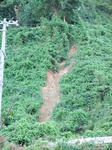 DSCF0574.jpg