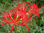 DSCF0591.jpg