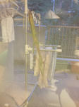 DSCF0636.jpg