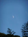 DSCF0671.jpg