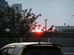 DSCF0687.jpg