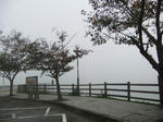 DSCF0692.jpg