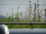 DSCF0695.jpg