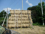 DSCF0703.jpg