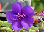 DSCF0701.jpg