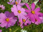 DSCF0740.jpg